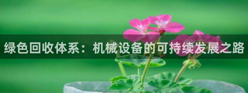 球盟会最新网