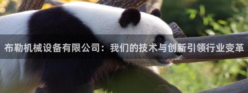 球盟会有没有黑单的球员