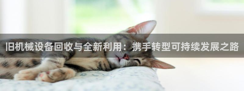 球盟会下载最新版