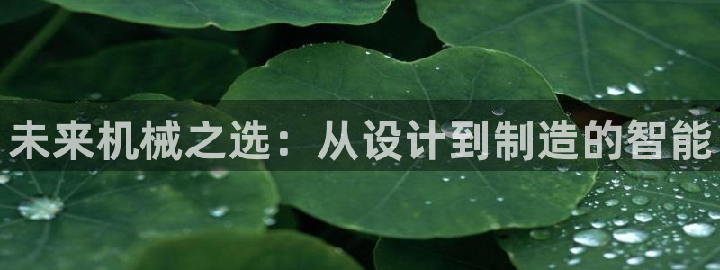 球盟会进不去吗