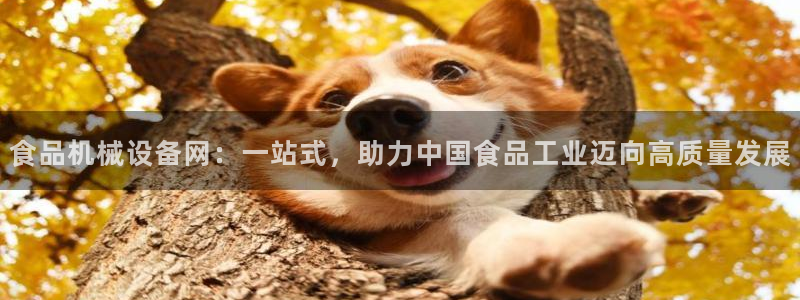 球盟会几点玩合适