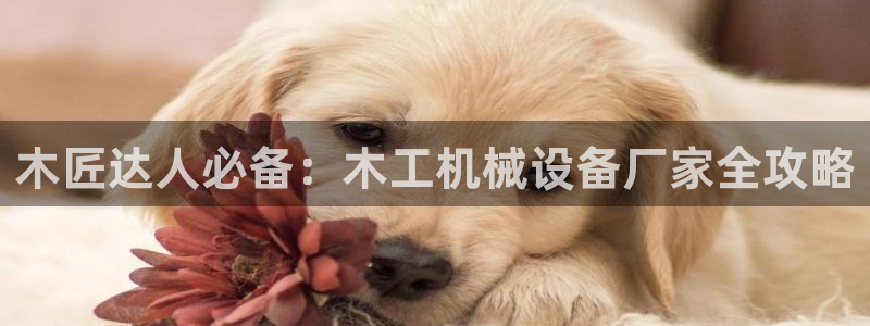 球盟会优惠领取网站