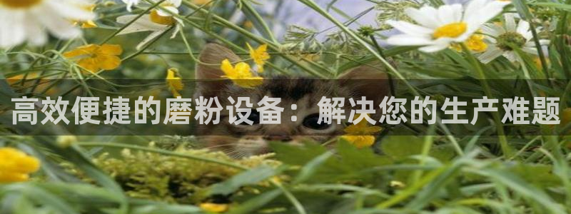 球盟会qmh网址