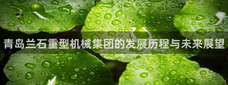 球盟会电子好黑