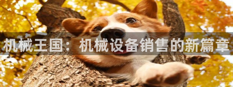 球盟会官方入口
