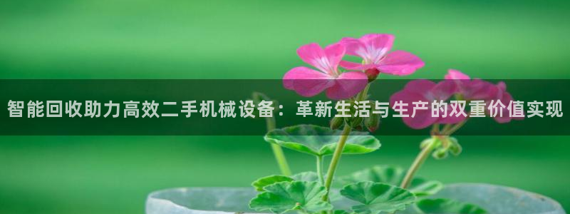 球盟会能提现吗