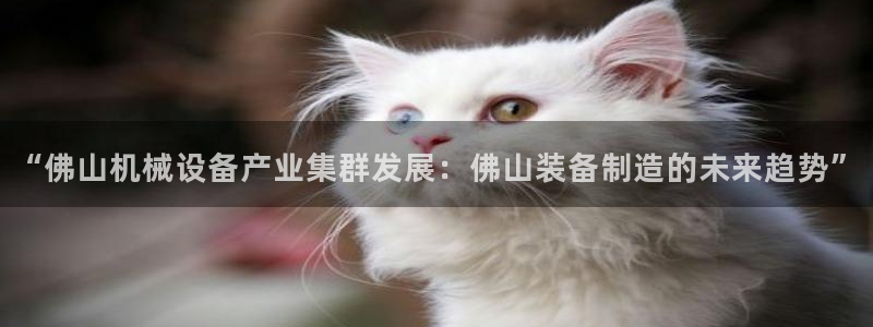 球盟会在线官网