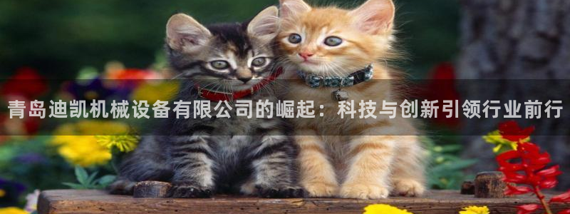 球盟会qm