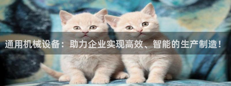 球盟会最新活动