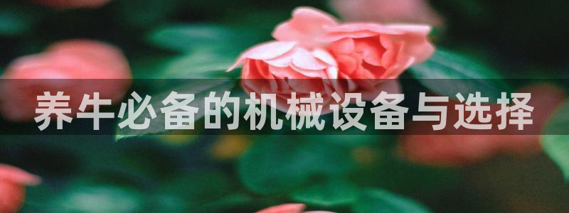 球盟会电子好黑