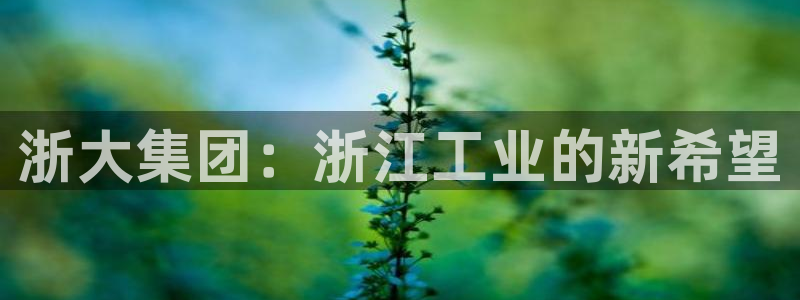 球盟会app最新地址下载