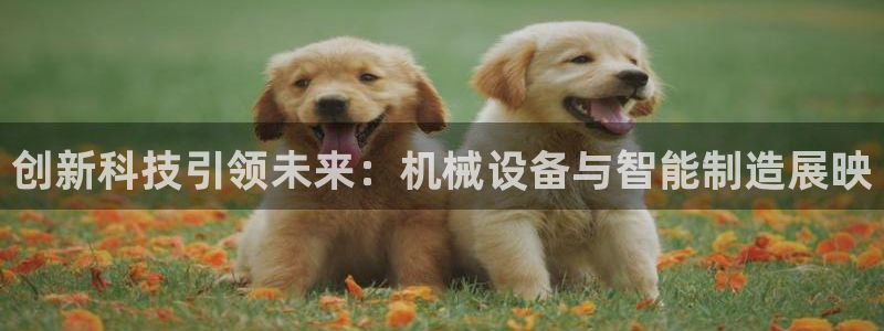 球盟会app最新地址下载