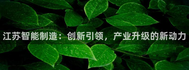 球盟会提款支付宝怎么样
