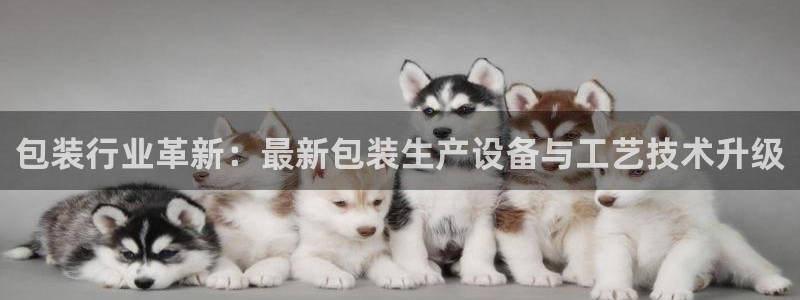 球盟会黑钱