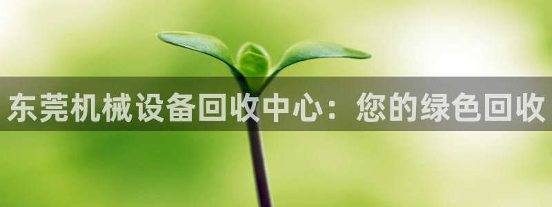 球盟会有限公司怎么样