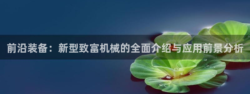球盟会平台会黑单吗