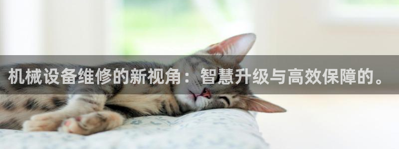 球盟会最新