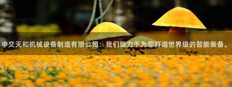 球盟会唯一