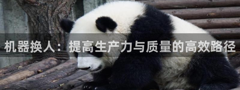 球盟会官网网页版