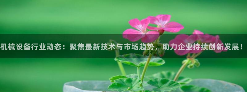 球盟会在线登入