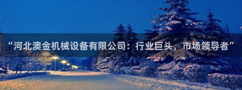 球盟会和中欧