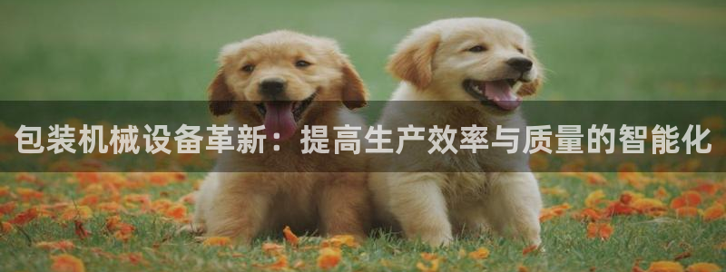 球盟会网页版