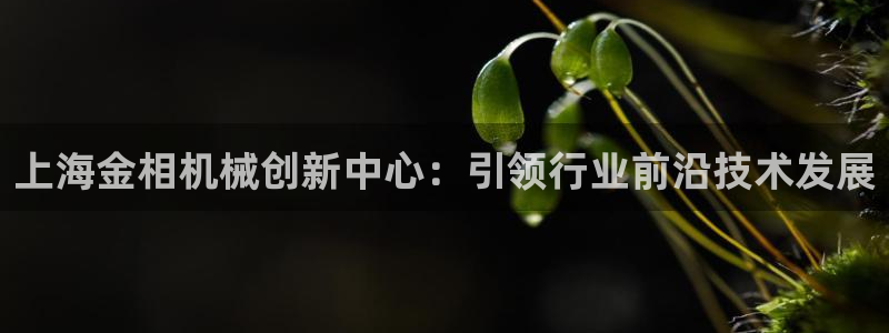 球盟会有限公司怎么样