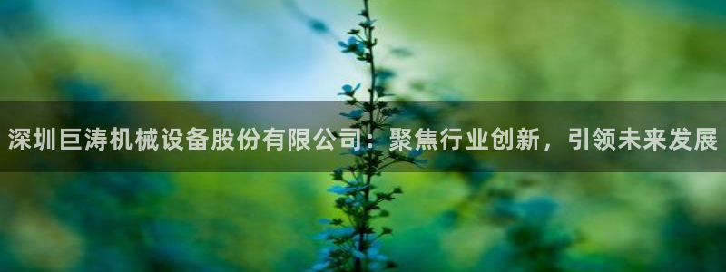 球盟会几点玩合适