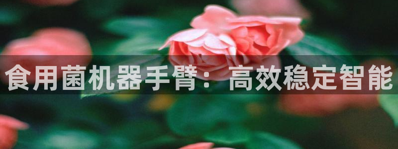 球盟会黑嘛