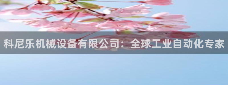 球盟会黑台子吗