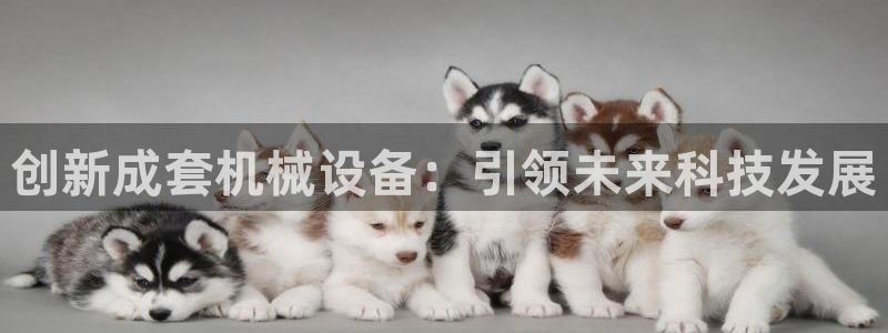 球盟会qmh网页版登录