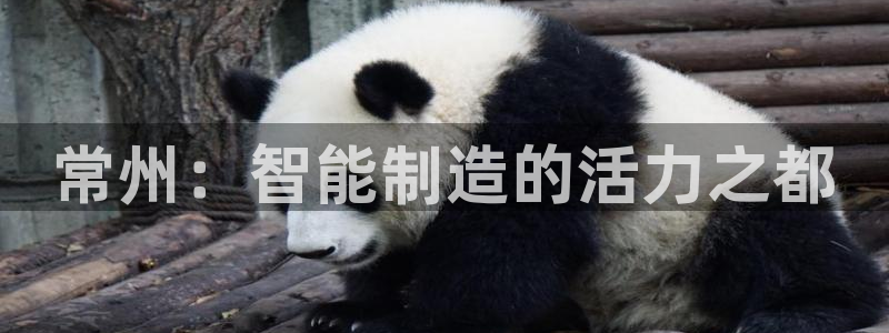 球盟会app