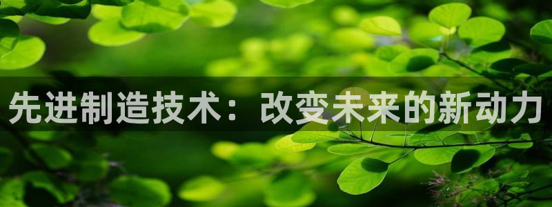 球盟会官方