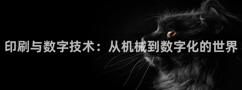 球盟会qmh网页版登录