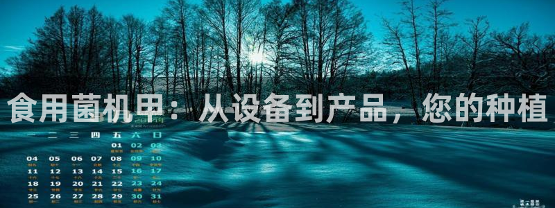 球盟会地址