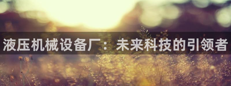 球盟会下载最新版