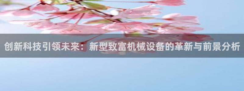 球盟会黑
