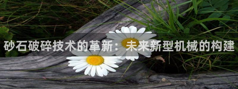 球盟会电子好下吗