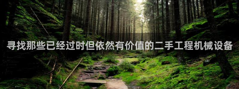 球盟会里面有打牌的嘛