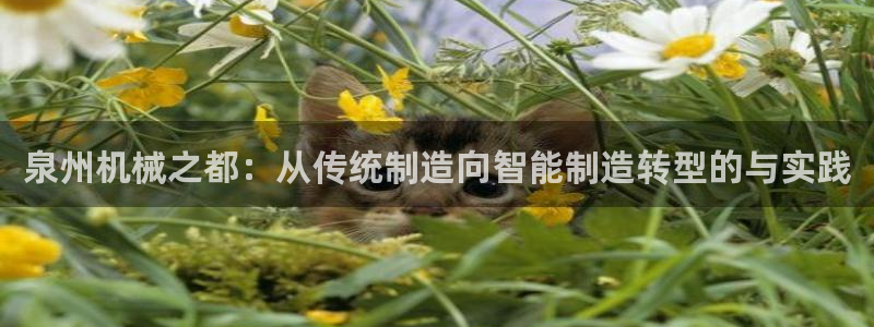 球盟会qmh网页版登录 - qm球盟会官方网站