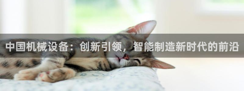 球盟会app最新地址在哪找