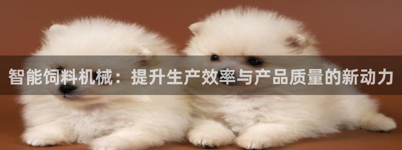 球盟会可以提现么