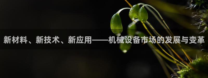 球盟会登录平台